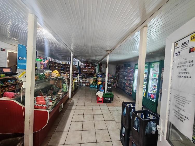 Casă cu 5 camere cu Teren 3000 Mp în Podenii Noi