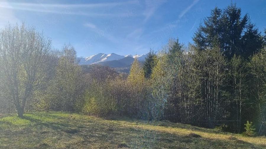 Teren de 2500 mp, în Central