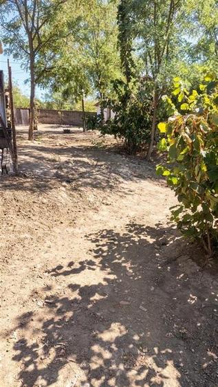 Teren intravilan de 4596 mp, în Cetariu
