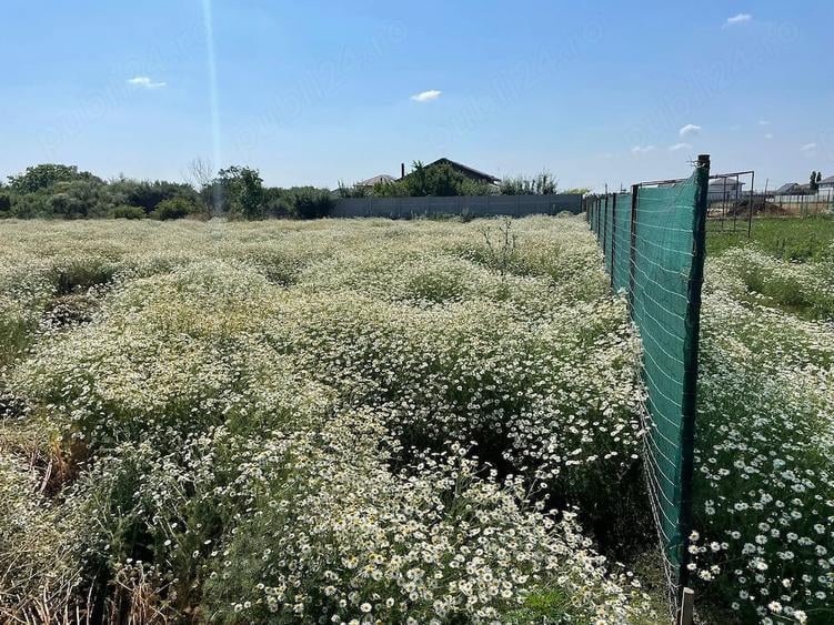 Teren de 631 mp, în Crevedia