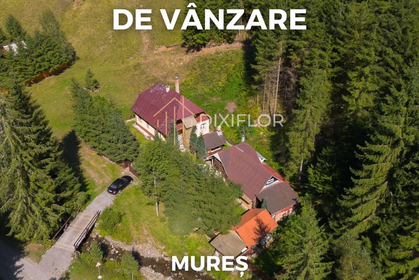 Casă individuală cu 7 camere cu Canalizare în Stânceni