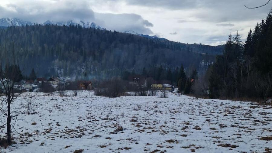 Teren Construcții intravilan de 1270 mp, în Malul Ursului