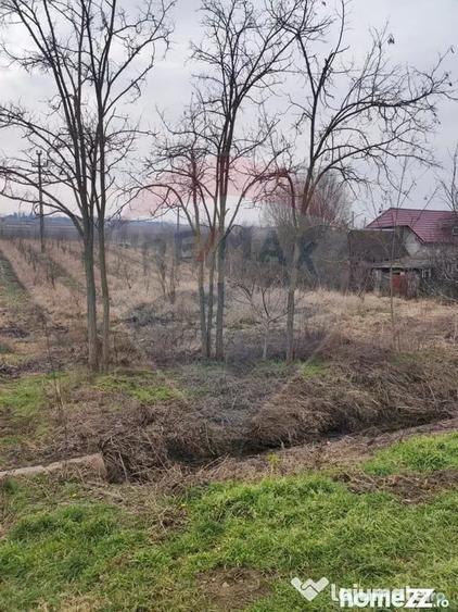 Teren de 2341 mp, în Uileacu de Munte