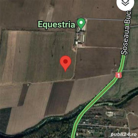 Teren de 12500 mp, în Săftica