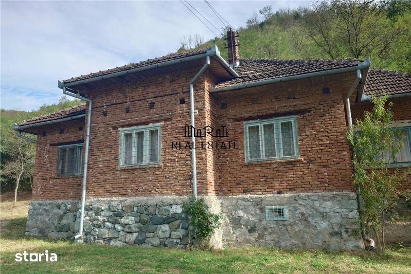 Casă cu 4 camere cu Teren 9563 Mp în Ribița