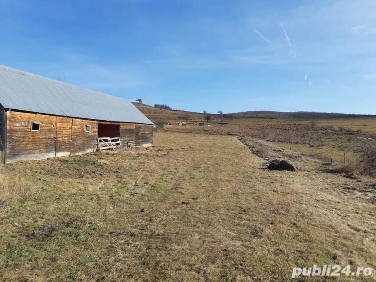 Teren de 8400 mp, în Vălișoara