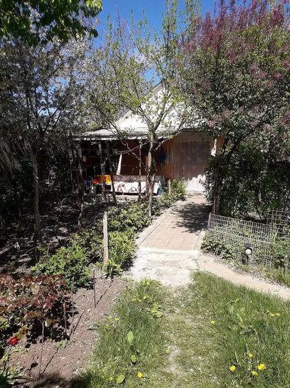 Teren de 1150 mp, în Central