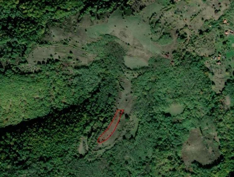 Teren extravilan de 2599 mp, în Vălișoara