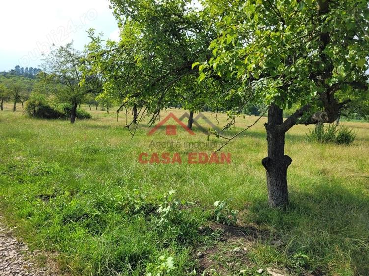 Casă cu Teren 1490 Mp în Voila