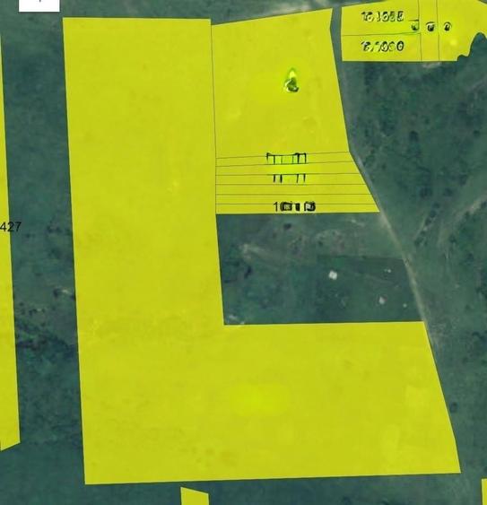 Teren agricol extravilan de 67500 mp, în Daia