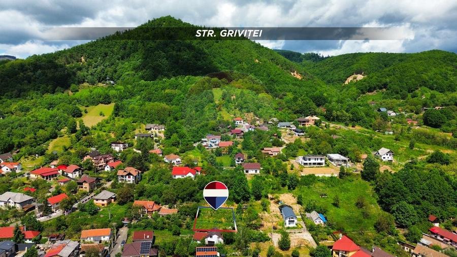 Teren Construcții intravilan de 760 mp, în Griviței