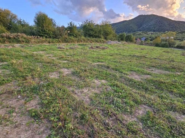 Teren Construcții intravilan de 695 mp, în Nord-Vest