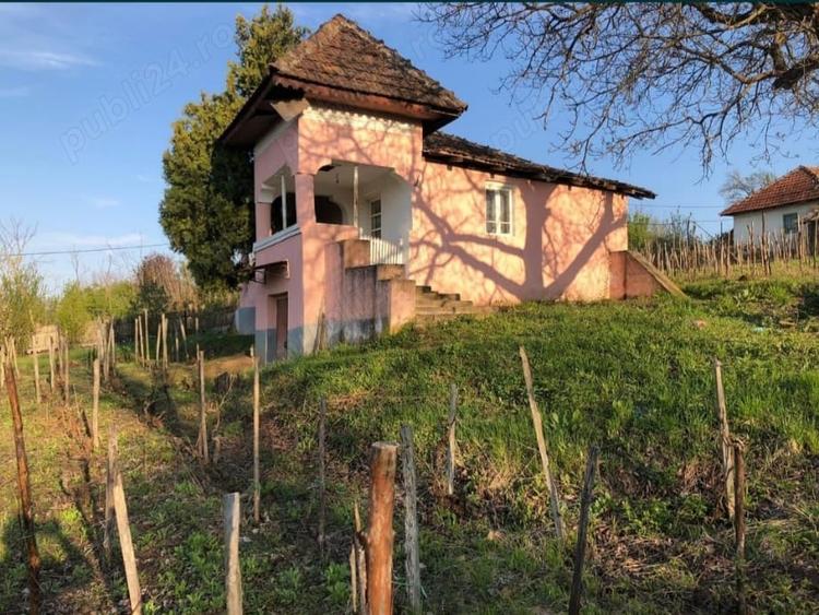 Casă cu 2 camere cu Teren 5000 Mp în Gura Motrului