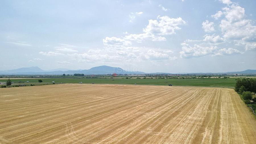Teren Construcții intravilan de 60000 mp, în Feldioara
