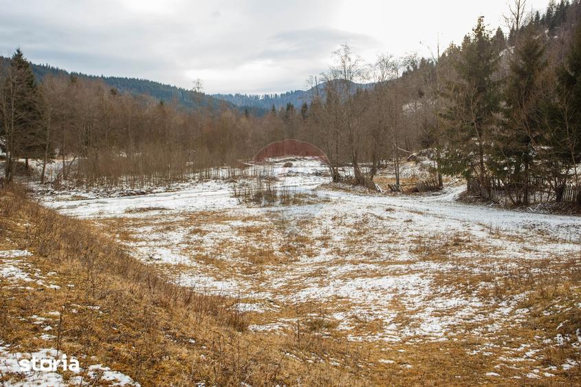 Teren de 49000 mp, în Borca