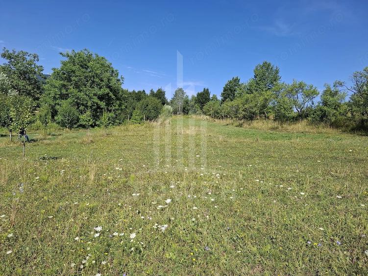 Teren de 650 mp, în Sadu