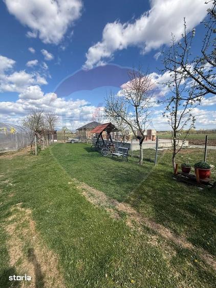 Casă cu 4 camere cu Teren 2900 Mp în Ardusat