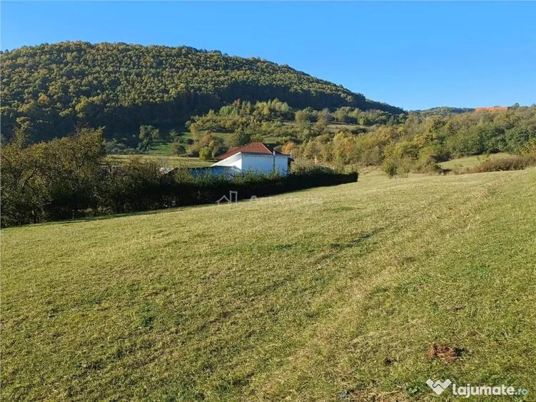 Teren de 2455 mp, în Rășinari