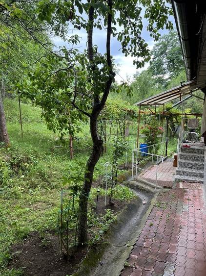 Casă cu 4 camere cu Teren 8421 Mp în Pruni