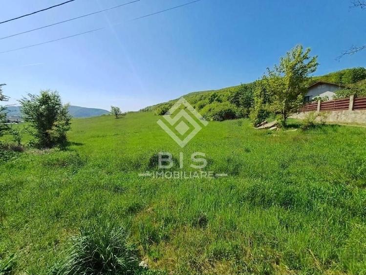 Teren Construcții intravilan de 5000 mp, în Sud