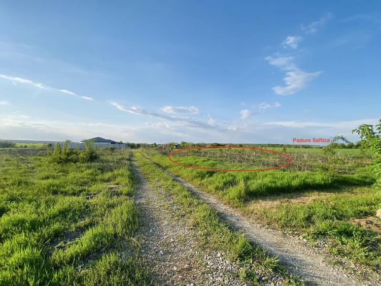 Teren Construcții intravilan de 670 mp, în Corbeanca