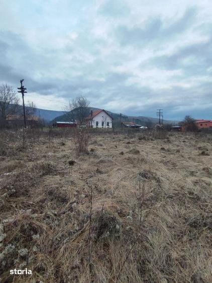 Vand sau schimb teren intravilan, 2700 mp, in Cornesti - 4