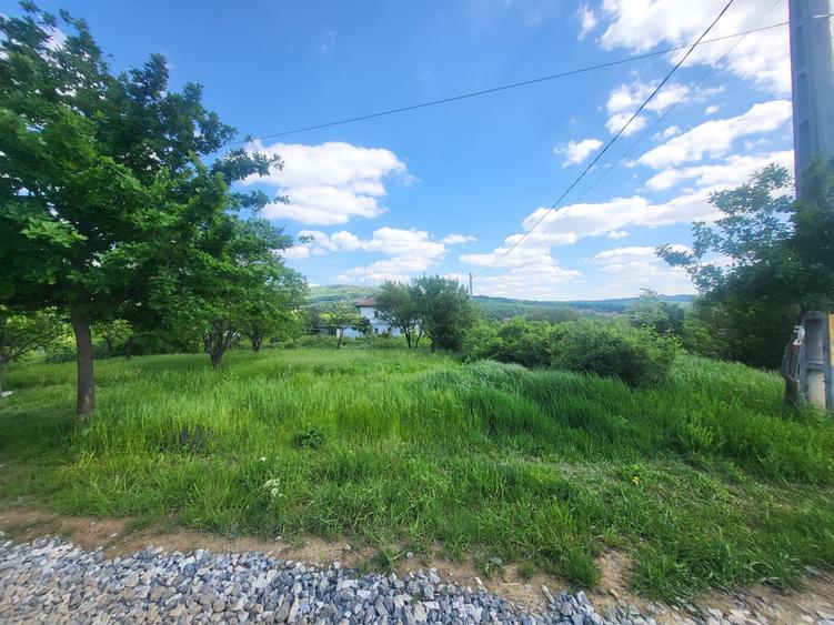 Teren Construcții intravilan de 900 mp, în Bârnova