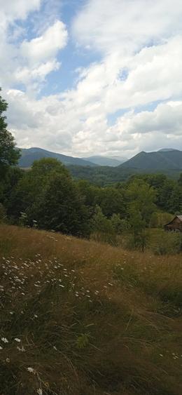 Teren de 40000 mp, în Nucșoara
