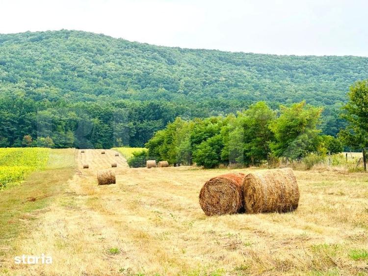 Teren de 15000 mp, în Schitu Duca