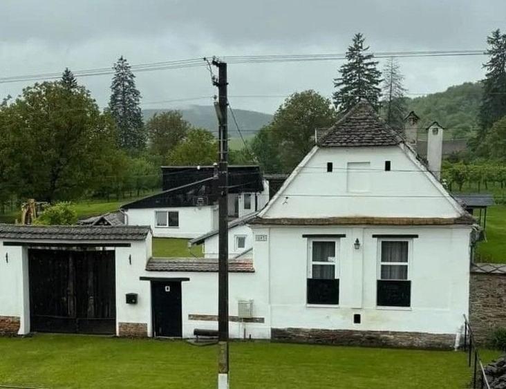 Casă cu 3 camere cu Teren 3000 Mp în Bradu