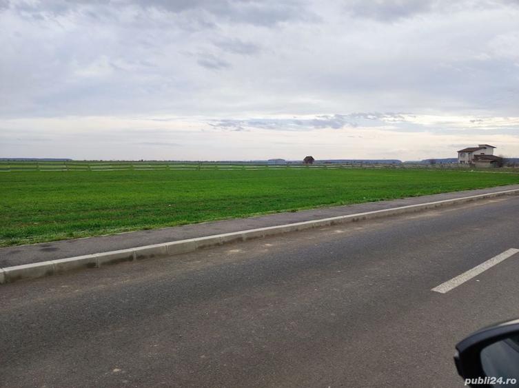 Teren de 5000 mp, în Brănești