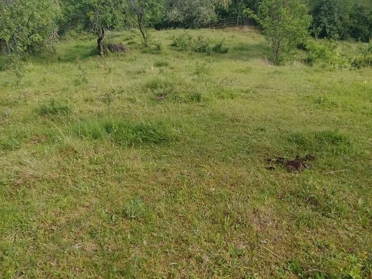 Teren de 4574 mp, în Predeal