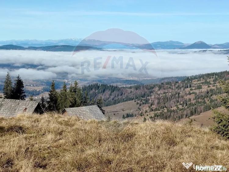 Teren de 31461 mp, în Panaci