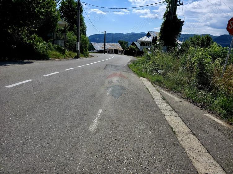 Teren de 600 mp, în Viișoara