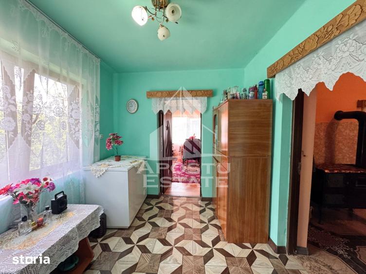 Casă cu 4 camere cu Teren 3534 Mp în Blăjeni