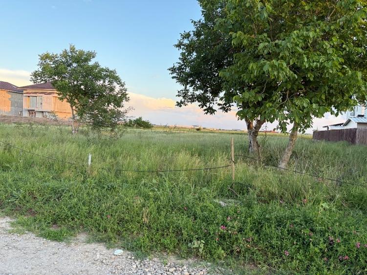 Teren Construcții intravilan de 1500 mp, în Tunari