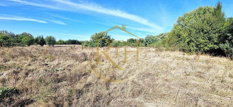 Teren agricol extravilan de 11273 mp, în Plopi