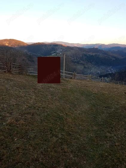 Teren de 3466 mp, în Scărișoara