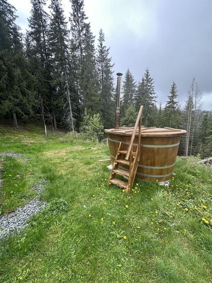 Casă cu 3 camere în Muntele Băișorii
