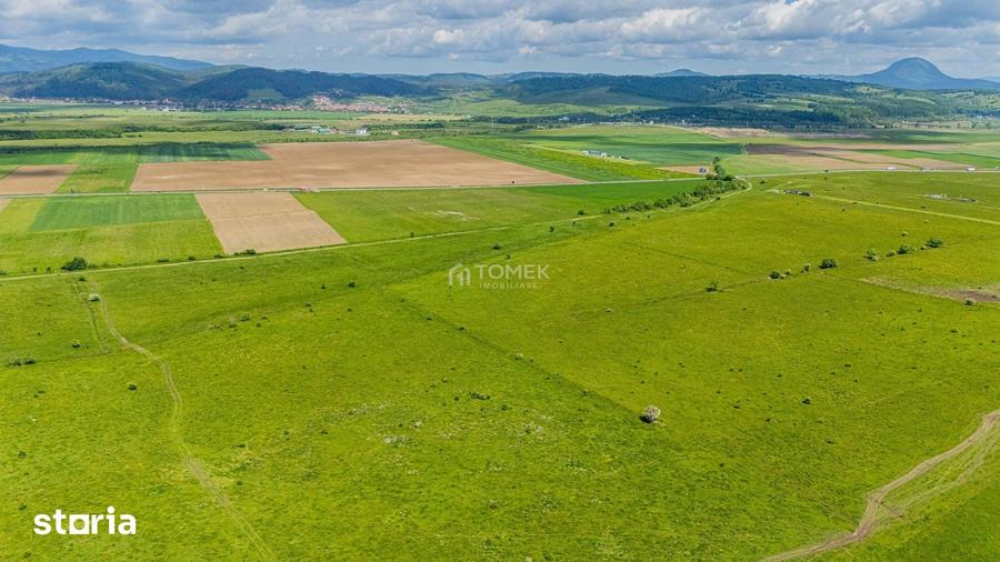 Teren de 5800 mp, în Central