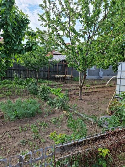 Casă cu 4 camere cu Teren 915 Mp în Ciorani
