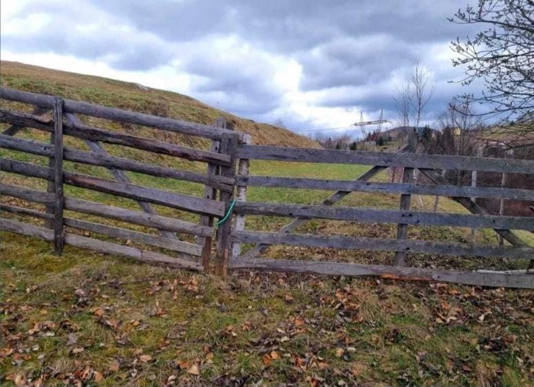 Teren de 1000 mp, în Drumul Carului