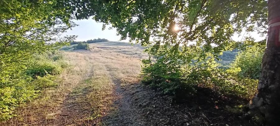 Teren de 12600 mp, în Bălaia