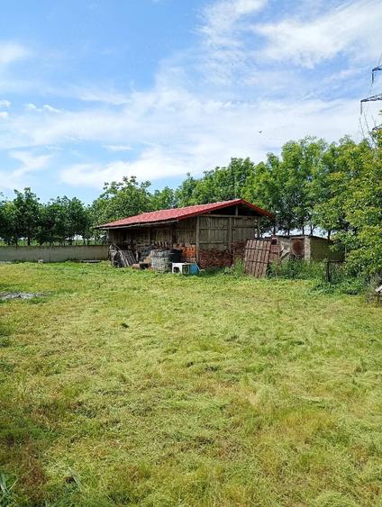 Casă cu 2 camere cu Teren 3500 Mp în Central