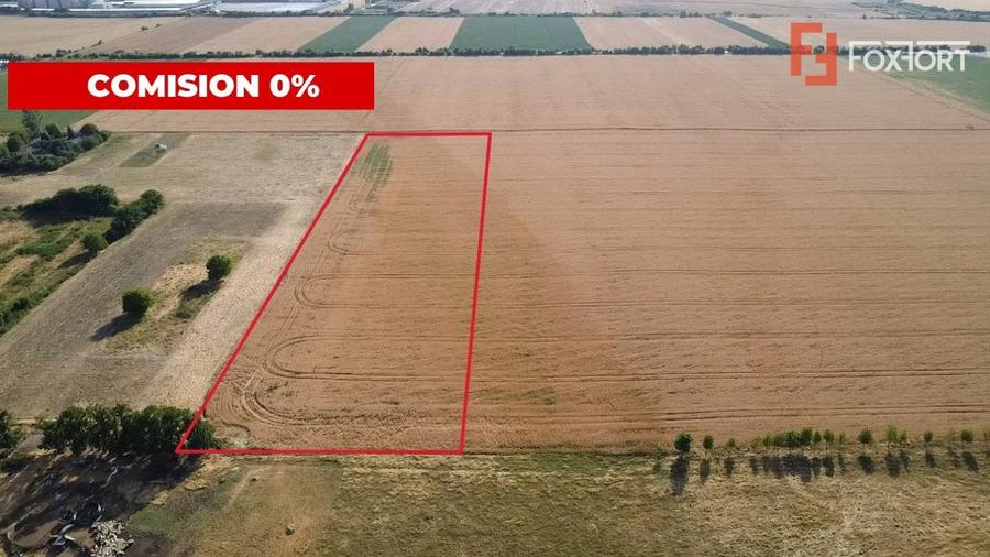 Teren Construcții intravilan de 24700 mp, în Pădureni (Jebel)