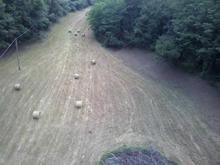 Un colt de natura intre padure si parau - 13