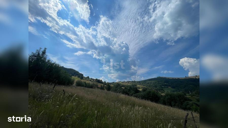 Teren de 20000 mp, în Săcuieu