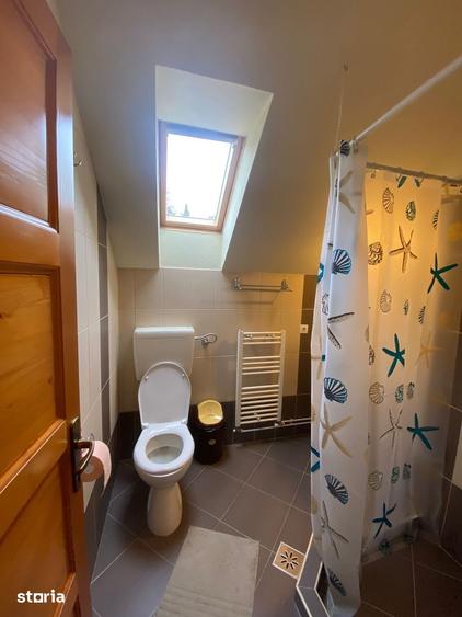 Vila/Pensiune + Casa, Teren 50 arii, Sovata - 9