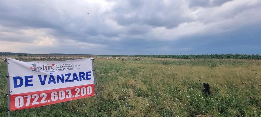 Teren de 10000 mp, în Furduești