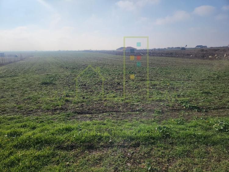 Teren agricol extravilan de 3000 mp, în Săcălaz